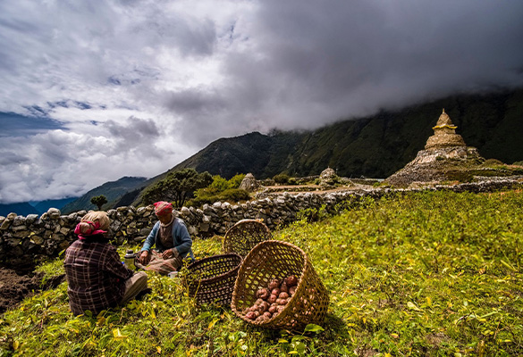 himalayan-sourcing